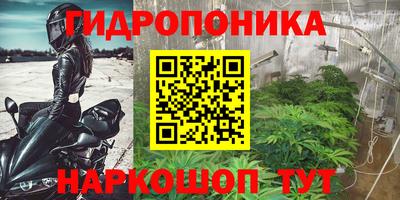 амф Краснознаменск