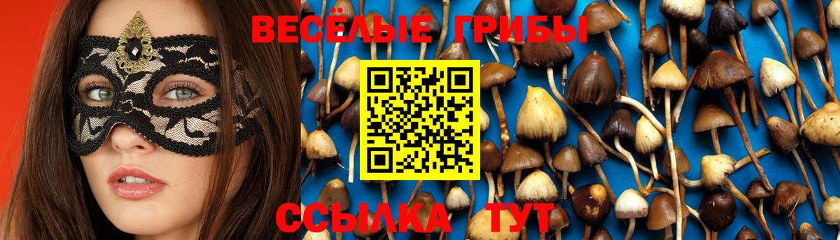 Псилоцибиновые грибы ЛСД  Вход с VPN  Канаш 